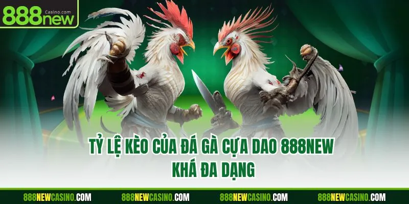 Tỷ lệ kèo của đá gà cựa dao 888NEW khá đa dạng